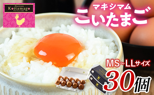 【TVで話題沸騰！】とにかく黄身が濃いたまご「マキシマムこいたまご」30個入り 伊達市 福島県 国産 MS～LLサイズ 卵 たまご 玉子 生卵 鶏卵 F21C-180 30個