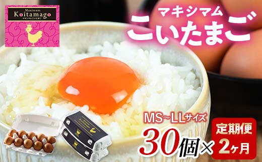 【TVで話題沸騰！】2か月定期便！とにかく黄身が濃いたまご「マキシマムこいたまご」30個入り 伊達市 福島県 国産 MS～LLサイズ 卵 たまご 玉子 生卵 鶏卵 F21C-182 30個×2か月定期便