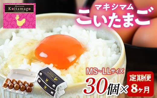 【TVで話題沸騰！】8か月定期便！とにかく黄身が濃いたまご「マキシマムこいたまご」30個入り 伊達市 福島県 国産 MS～LLサイズ 卵 たまご 玉子 生卵 鶏卵 F21C-188 30個×8か月定期便