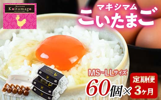 【TVで話題沸騰！】3か月定期便！とにかく黄身が濃いたまご「マキシマムこいたまご」60個入り 伊達市 福島県 国産 MS～LLサイズ 卵 たまご 玉子 生卵 鶏卵 F21C-194 60個×3か月定期便