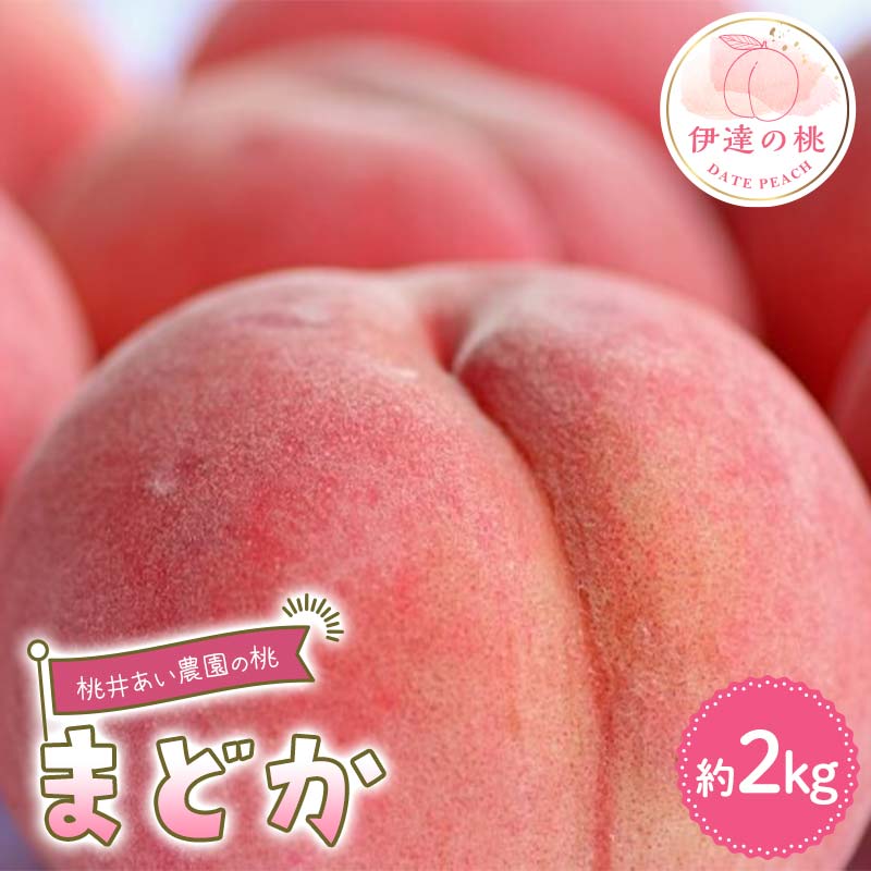 【2026年出荷分先行予約】福島県産 まどか 約2kg (6～8玉) 桃井あい農園 伊達の桃 桃 フルーツ 果物 もも モモ momo F21C-208 約2kg