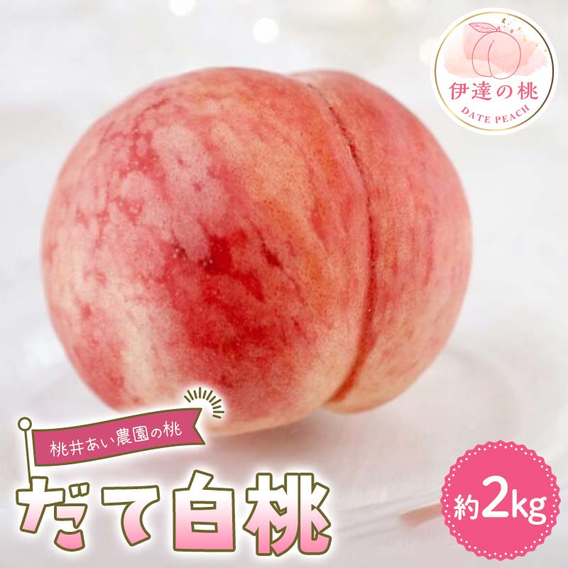 【2026年出荷分先行予約】福島県産 だて白桃 約2kg (5～7玉) 桃井あい農園 伊達の桃 桃 フルーツ 果物 もも モモ momo F21C-211 約2kg