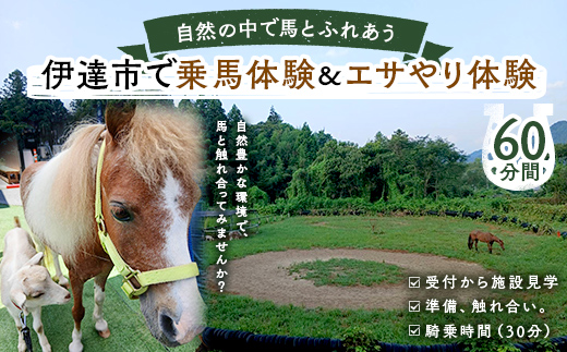 自然の中で馬とふれあう 伊達市で乗馬体験＆エサやり体験【60分】 馬 うま 乗馬 初心者 自然 体験 F21C-245
