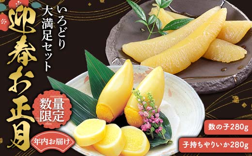 ＼年内お届け！／迎春お正月 いろどり大満足セット (数の子・子持ちやりいか)  F21C-248