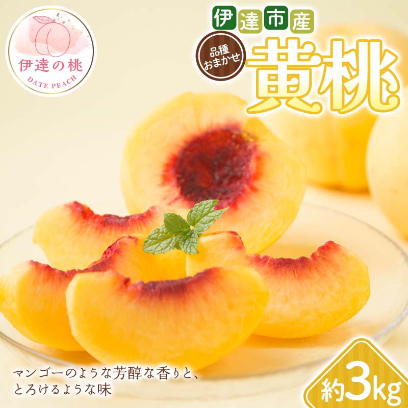 【2026年出荷分先行予約】福島県 伊達市産 黄桃 品種おまかせ 約3kg (6～10玉) 種まきうさぎ株式会社 伊達の桃 桃 フルーツ 果物 もも モモ momo  F21C-293 約3kg