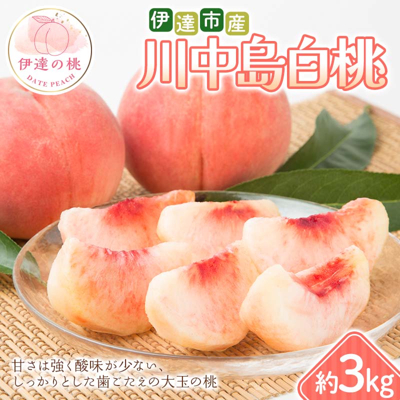【2026年出荷分先行予約】福島県 伊達市産 川中島白桃 約3kg (6～10玉) 種まきうさぎ株式会社 伊達の桃 桃 フルーツ 果物 もも モモ momo  F21C-297 約3kg