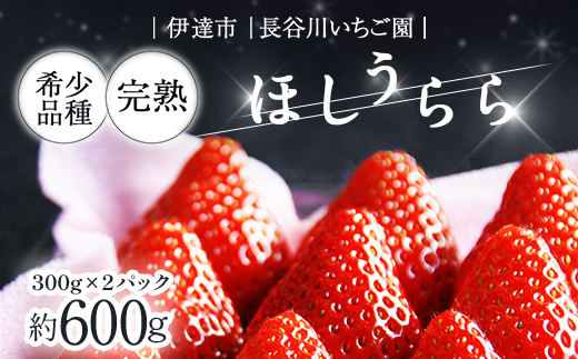 完熟いちご ほしうらら 約600g いちご イチゴ 苺 デザート フルーツ 果物 くだもの 果実 食品 F21C-298