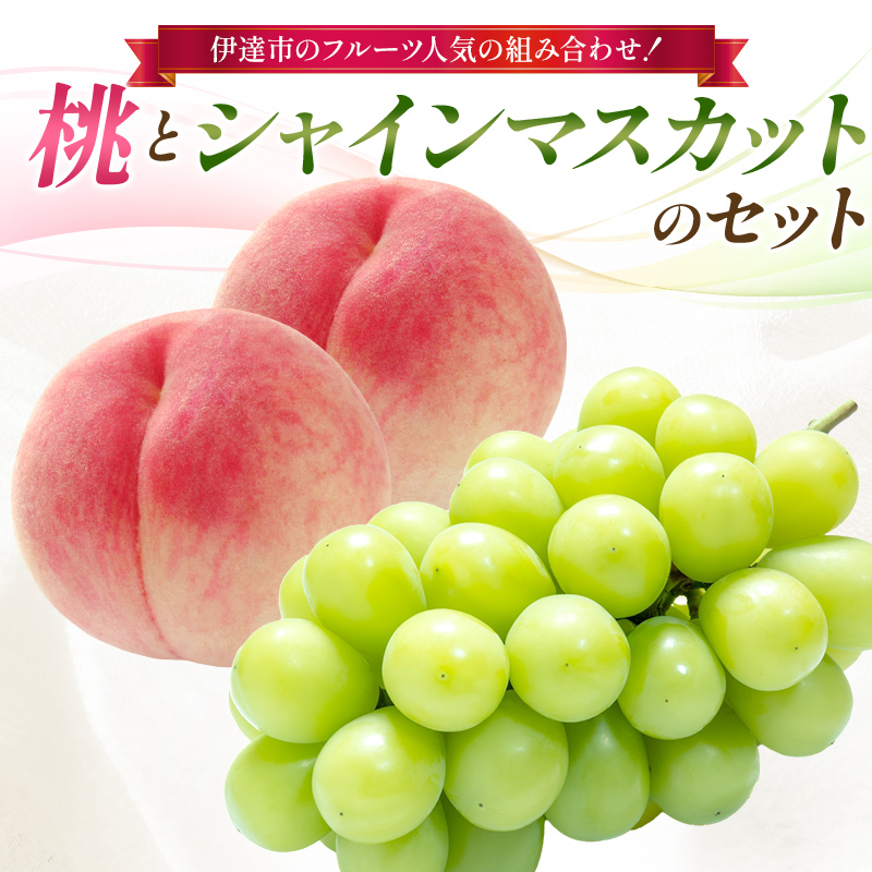 【2026年出荷分先行予約】福島県産 桃とシャインマスカットのセット 大橋ふぁーむ 伊達市のフルーツ人気の組み合わせ 伊達の桃 桃 シャインマスカット フルーツ 果物 もも モモ momo F21C-309