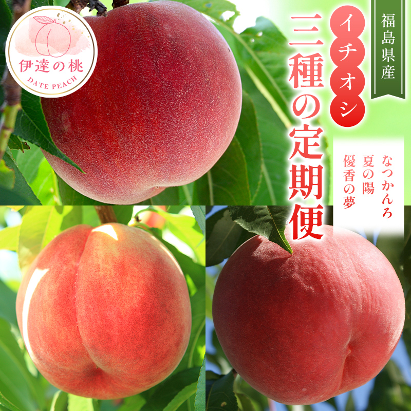 【2026年出荷分先行予約】福島県産 イチオシ桃3種の定期便 なつかんろ・夏の陽・優香の夢 各約2kg (6～9玉) 高橋もも園 ゆうかのゆめ なつのよう なつかんろ 伊達の桃 桃 フルーツ 果物 もも モモ momo  F21C-312