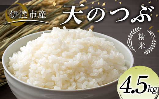 令和7年産米 伊達市産 天のつぶ 精米 4.5kg 訳あり ご飯 ごはん ライス 伊達市  F21C-385
