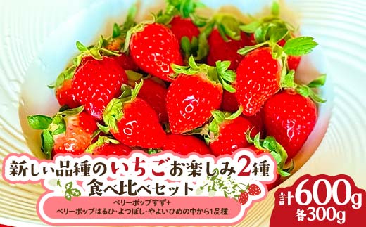 新しい品種のいちご お楽しみ 2種 食べ比べセット300g×2パック 果物 フルーツ いちご イチゴ F21C-420