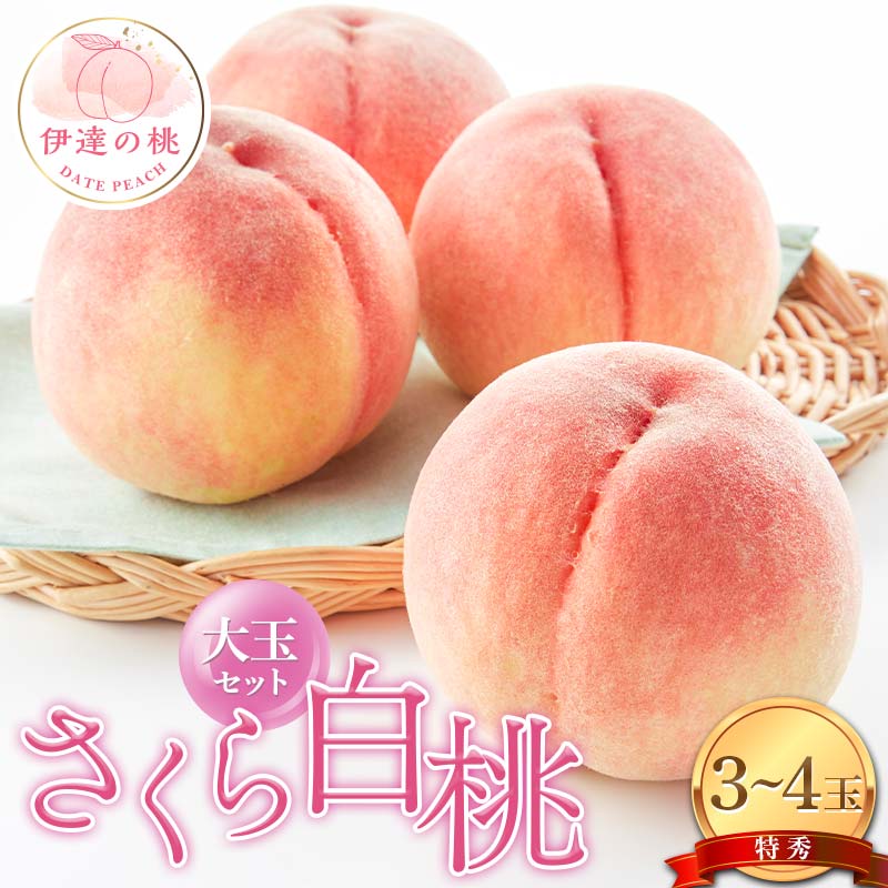 【2026年出荷分先行予約】福島県産 さくら白桃の特秀 大玉 3～4玉入り (約1.2kg) 株式会社エールアップ 特秀 伊達の桃 桃 フルーツ 果物 もも モモ momo  F21C-471