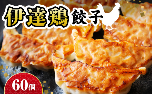 旨味たっぷり 伊達鶏 餃子 60個入り（12個×5パック）福島県 伊達市 東北 冷凍 銘柄鶏 ぎょうざ ギョーザ お手軽餃子 薄皮 特製あん 人気 焼くだけ 鍋 もっちり ビールのお供 夕食のおかず F21C-275