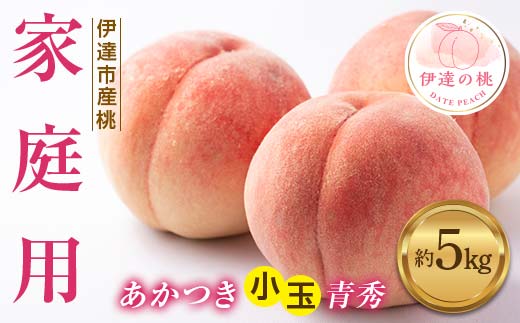 【2026年出荷分先行予約】福島県産 家庭用 青秀 あかつき 約5kg (20～22玉) ふくしま未来農業協同組合 青秀 小玉 不揃い 伊達の桃 桃 フルーツ 果物 もも モモ momo F20C-585