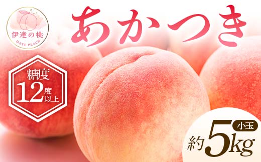 【2026年出荷分先行予約】福島県産 特秀 あかつき 約5kg (20～22玉) ふくしま未来農業協同組合 特秀 小玉 透過式光センサー選別 糖度12度以上 伊達の桃 桃 フルーツ 果物 もも モモ momo F20C-586