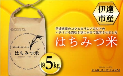 伊達市産 はちみつ米 5kg 米 お米 コメ ごはん ご飯 食品 F21C-003