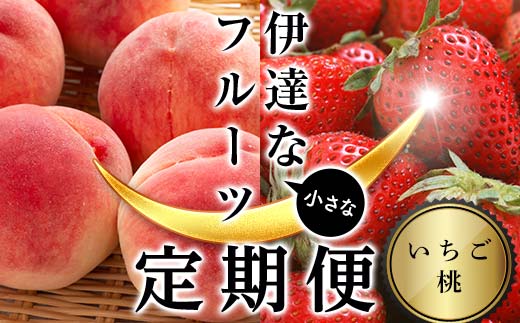[2026年から開始の定期便]伊達な小さなフル−ツ定期便(いちご約500g・桃約1kg)果物 フルーツ 桃 モモ 苺 イチゴ 福島県 伊達市 F21C-017