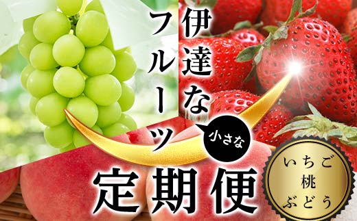 [2026年から開始の定期便]伊達な小さなフル−ツ定期便(いちご約500g・桃約1kg・ぶどう1房)果物 フルーツ 桃 モモ 苺 イチゴ 葡萄 ブドウ 福島県 伊達市 F21C-019
