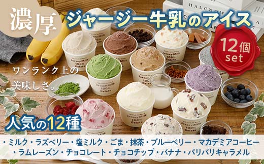 【ジャージー牛乳使用】まきばのジャージーアイス人気の12種12個セット  アイス デザート スイーツ 菓子 食品 F21C-036