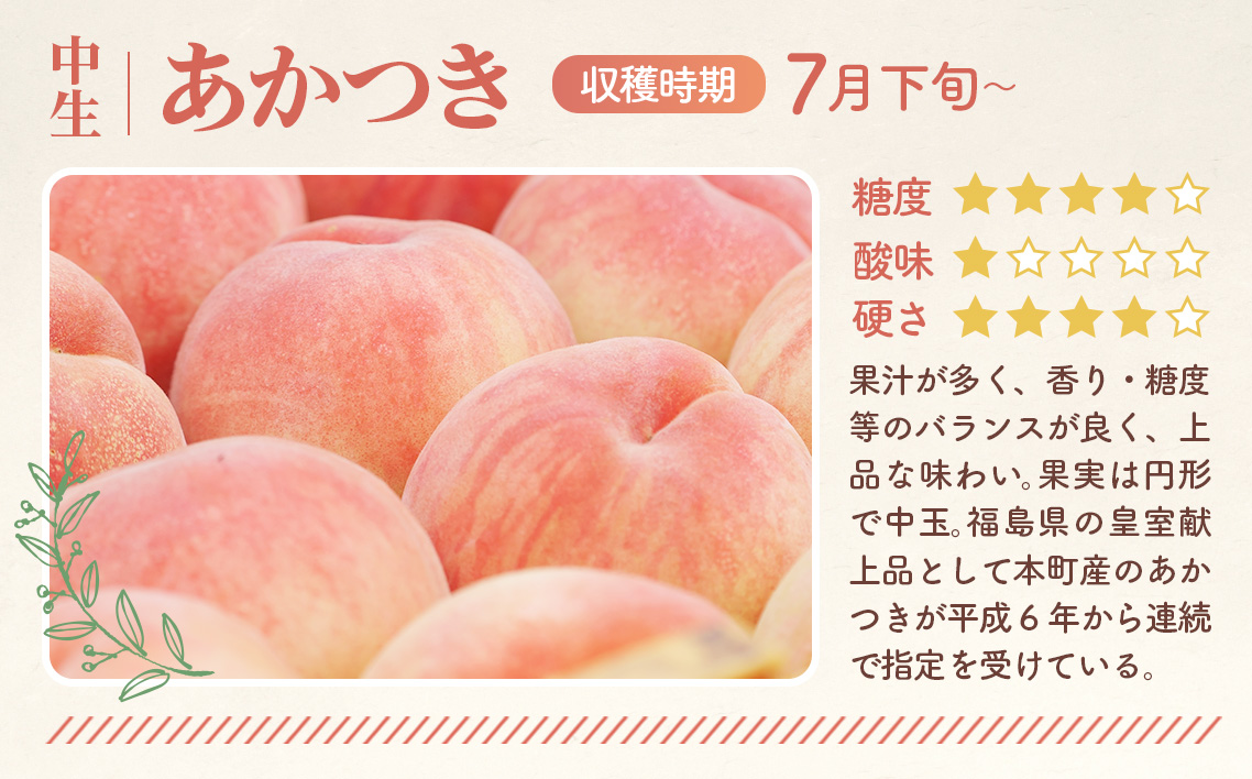 もも【あかつき・2026年産先行受付】特秀約3kg「献上桃の郷ブランド品」桑折町産　JAふくしま未来　桃