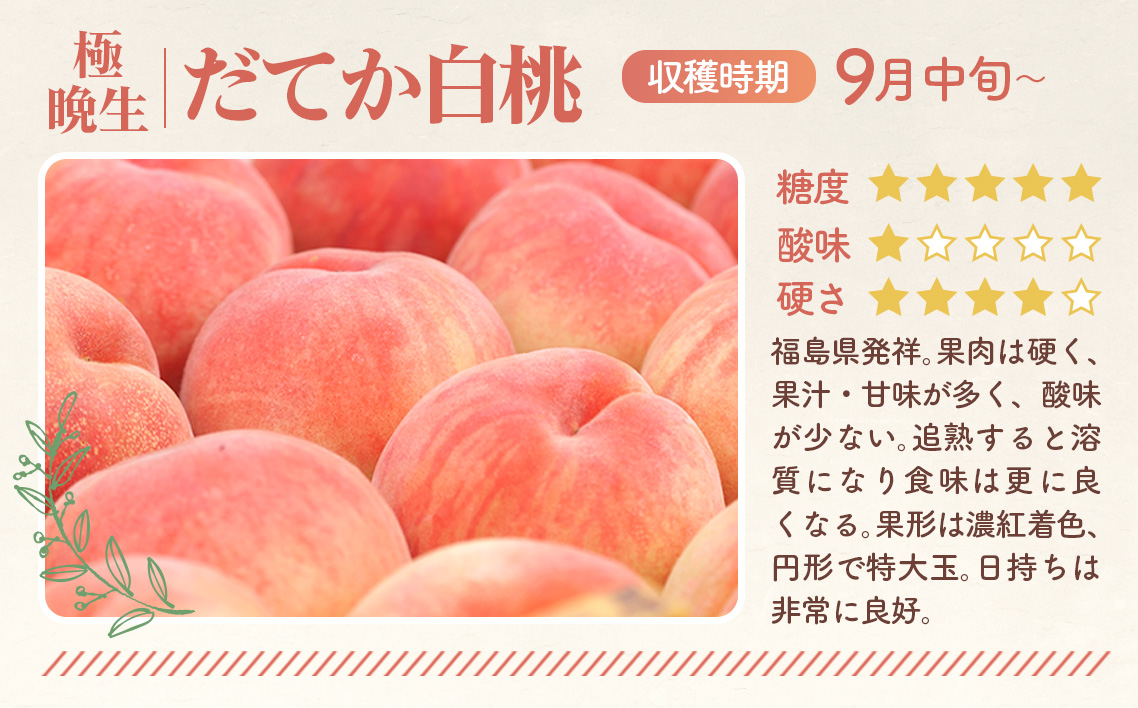 もも【だてか白桃・2026年産先行受付】特秀3kg（8～11玉）桑折町振興公社　桃