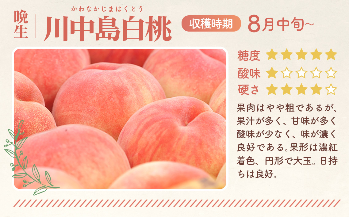 もも【川中島白桃・2026年産先行受付】特秀3kg（9～11玉）桑折町振興公社