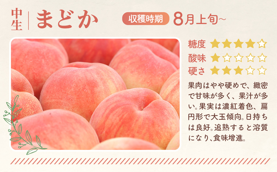 もも【まどか・2026年産先行受付】特秀3kg（9～11玉）桑折町振興公社