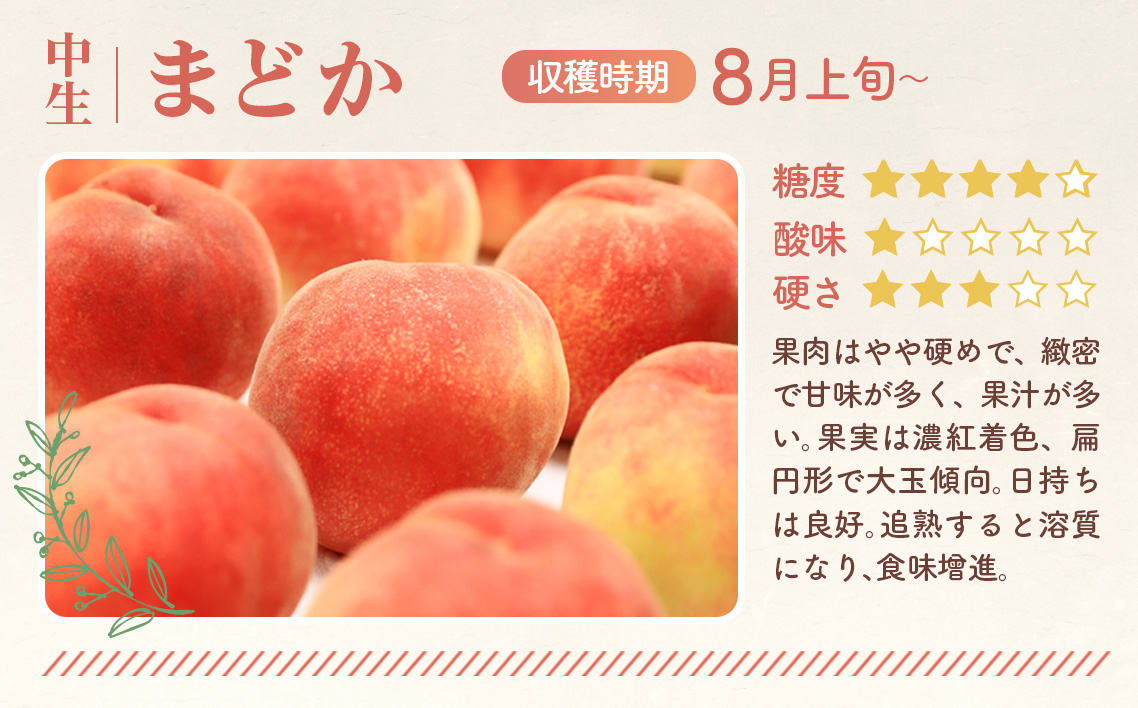もも【まどか・2026年産先行受付】特秀1.2kg　桑折町産　JAふくしま未来　桃
