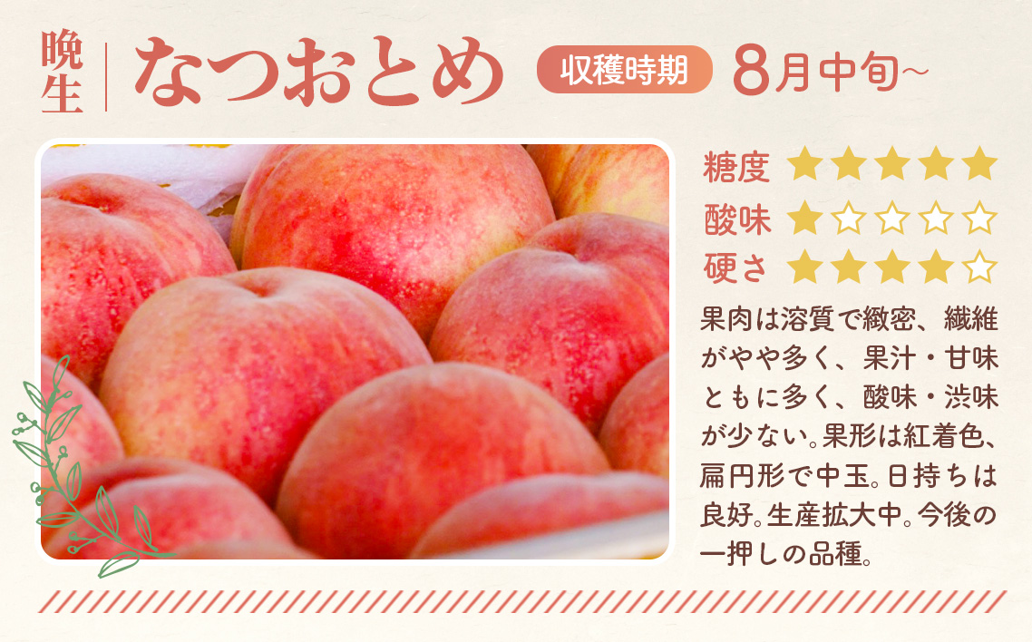 もも【なつおとめ・2026年産先行受付】特秀　5kg　桑折町産　JAふくしま未来　桃