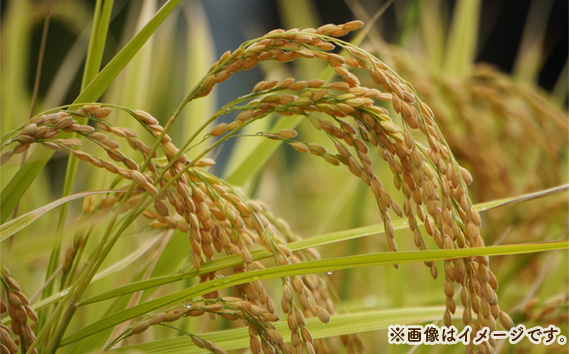 福島県桑折町産こしひかり「銀しゃり」　5kg