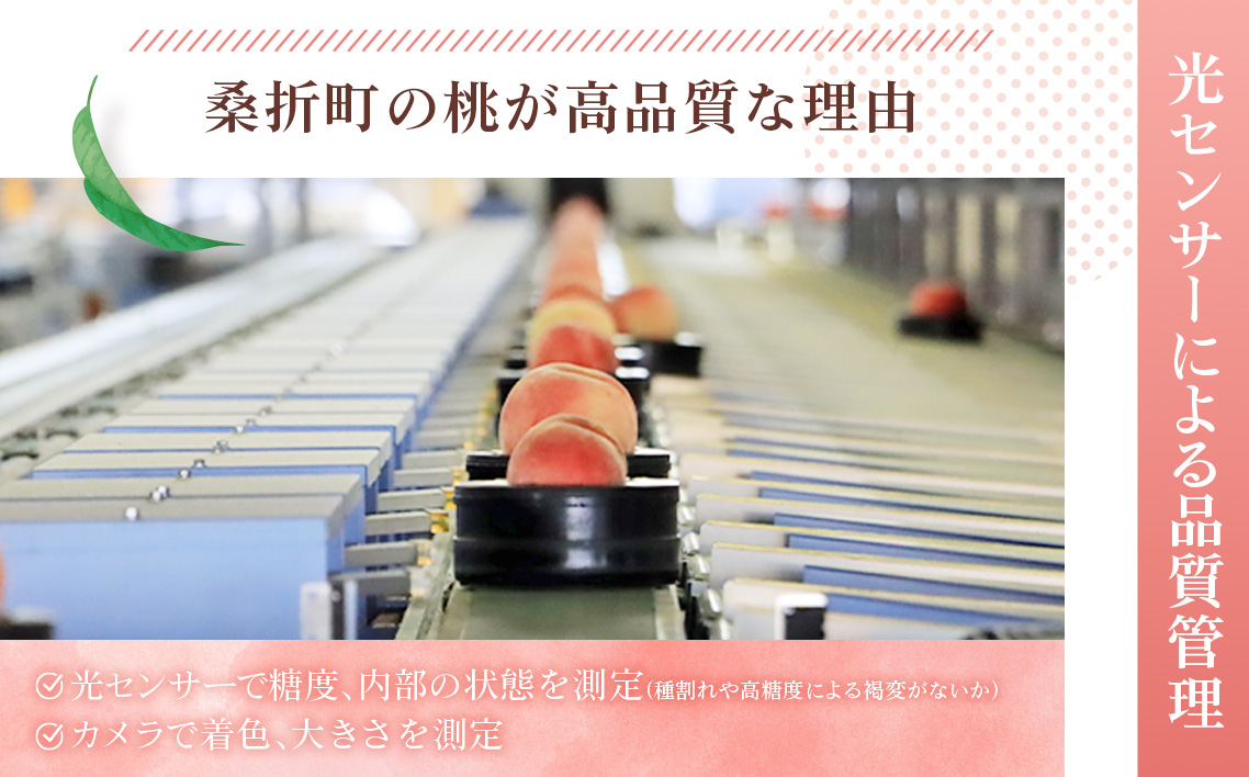 もも【あかつき・2026年産先行受付】特秀3kg（9～11玉）桑折町振興公社
