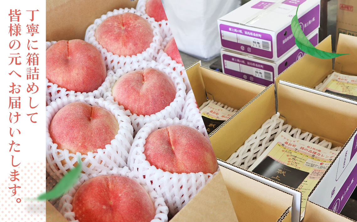 桃づくし定期便【献上桃の郷桑折町産桃3kg×5回】5品種の桃を味わう！
