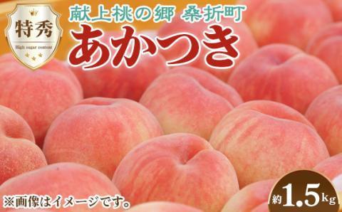 もも【あかつき・2026年産先行受付】特秀1.5kg「献上桃の郷ブランド品」桑折町産　JAふくしま未来　桃