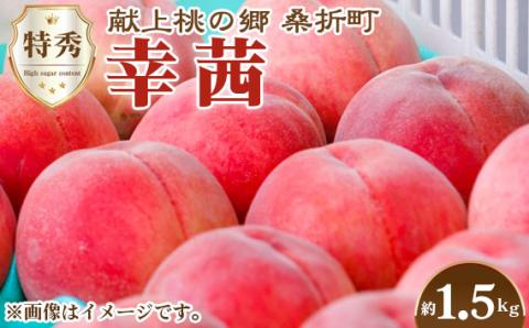 もも【幸茜・2026年産先行受付】特秀1.5kg　桑折町産　JAふくしま未来　桃