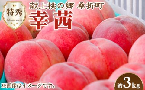 もも【幸茜・2026年産先行受付】特秀　3kg　桑折町産　JAふくしま未来　桃