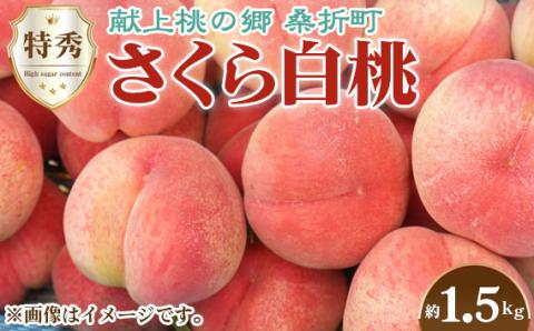 もも【さくら白桃・2026年産先行受付】特秀1.5kg　桑折町産　JAふくしま未来　桃