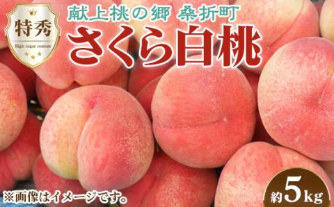 もも【さくら白桃・2026年産先行受付】特秀　5kg　桑折町産　JAふくしま未来　桃