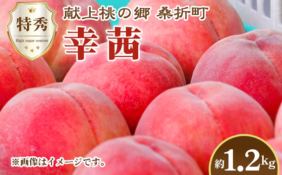 もも【幸茜・2026年産先行受付】特秀1.2kg　桑折町産　JAふくしま未来　桃