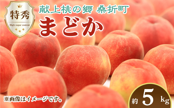 もも【まどか・2026年産先行受付】特秀　5kg　桑折町産　JAふくしま未来　桃