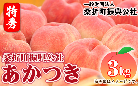 もも【あかつき・2026年産先行受付】特秀3kg（9～11玉）桑折町振興公社