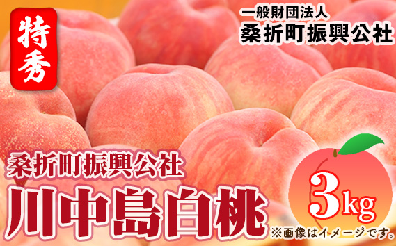 もも【川中島白桃・2026年産先行受付】特秀3kg（9～11玉）桑折町振興公社