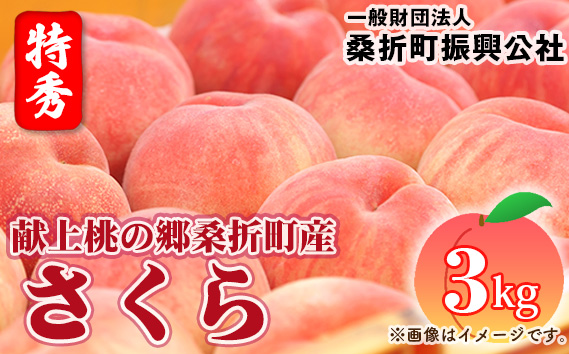 もも【さくら・2026年産先行受付】特秀3kg（8～11玉）桑折町振興公社　桃