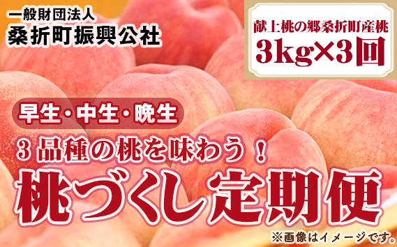 【2026年産先行受付・献上桃の郷桑折町産もも】定期便3kg×3回 品種おまかせ