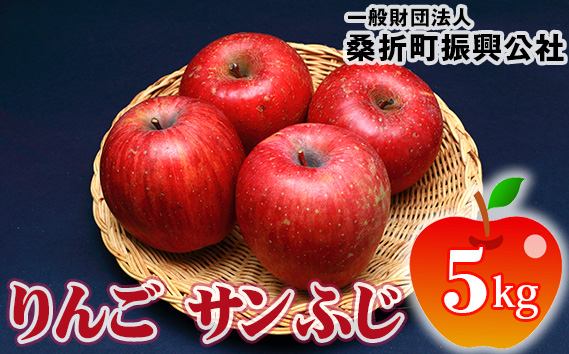 りんご「サンふじ」5kg(12玉〜16玉)