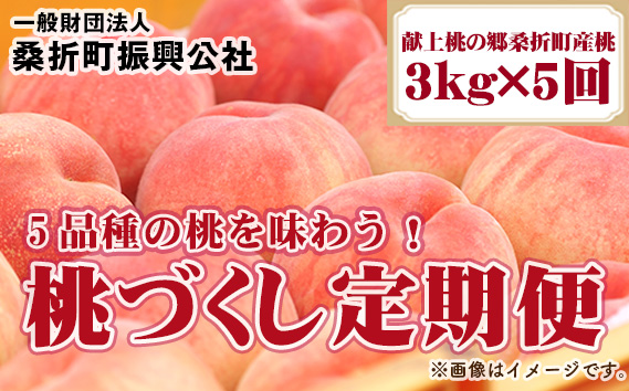 桃づくし定期便[献上桃の郷桑折町産桃3kg×5回]5品種の桃を味わう!