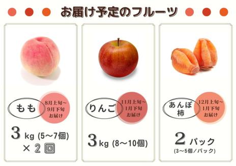 【限定】【定期便4回】1～2人向け／旬のフルーツ定期便★個数限定★ ※沖縄・離島への配送不可 ※2025年7月下旬～2026年1月下旬頃に順次発送予定