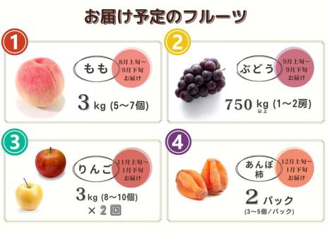 【限定】【定期便5回】1～2人向け／旬のフルーツ定期便★個数限定★ ※沖縄・離島への配送不可 ※2025年7月下旬～2026年1月下旬頃に順次発送予定