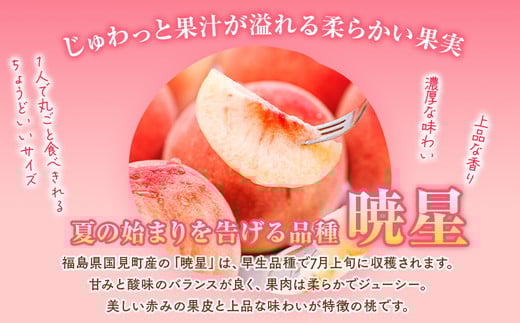 ◆2026年夏発送◆暁星～産直・桃・約5kg～ ※離島への配送不可 ※2026年7月上旬～7月下旬頃に順次発送予定 ｜ 先行予約 予約 数量限定 桃 もも モモ 果物 くだもの フルーツ 詰め合わせ 福島 ふくしま
