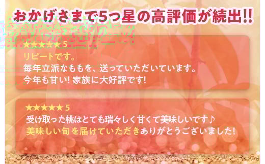透過式光センサーあかつき桃 特秀3kg相当 9玉～11玉＜ ふくしま未来農業協同組合 ＞ | ふくしま 桃 福島 もも 国見 モモ ※2026年7月中旬～8月上旬頃に順次発送予定 ※沖縄・離島への配送不可