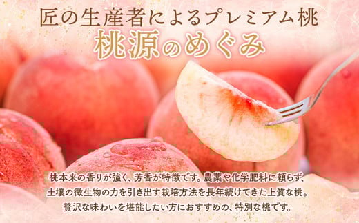 ◆2026年夏発送◆桃源のめぐみ ～産直・桃・約2kg～ ※離島への配送不可 ※2026年7月上旬～9月上旬頃に順次発送予定｜先行予約 予約 桃 もも モモ 果物 くだもの フルーツ 詰め合わせ 福島 ふくしま
